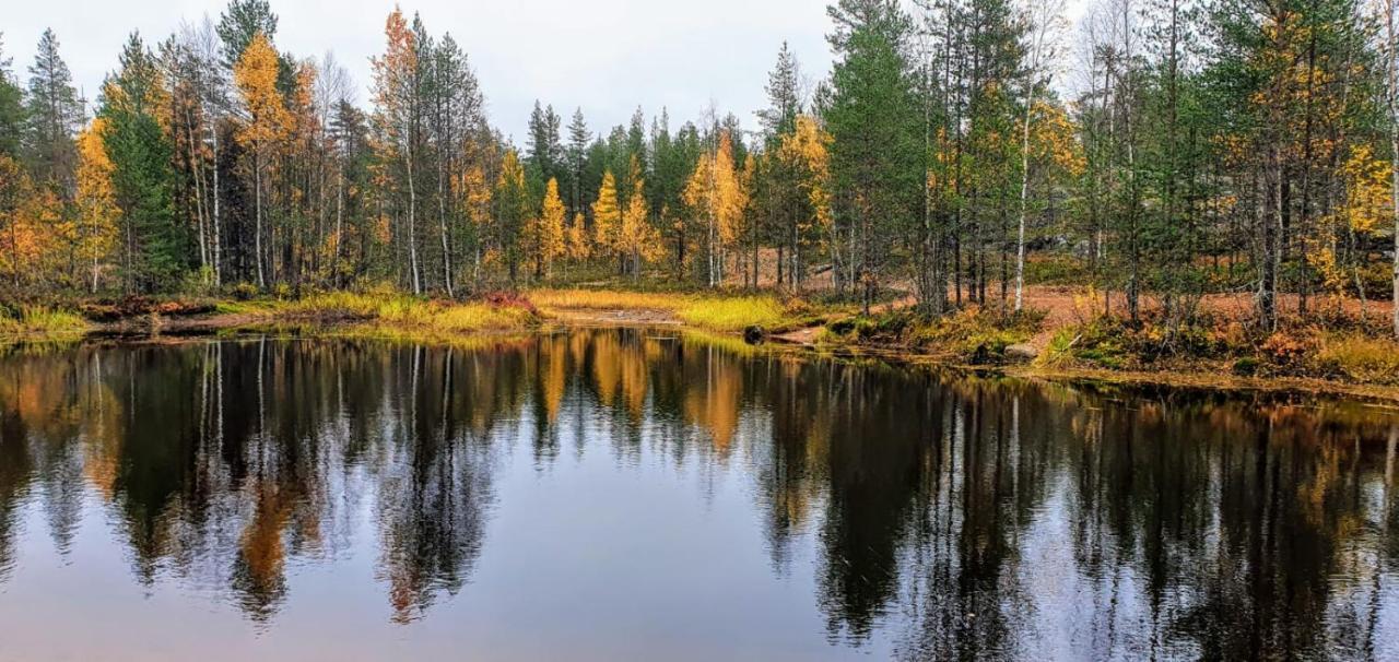 Cozy Log Cabin By Invisible Forest Lodge Рованиеми Экстерьер фото